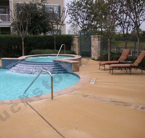 super pet-friendly apartment