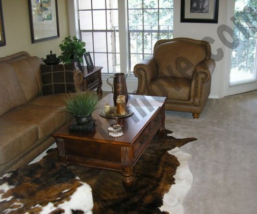 great looking apartment great looking apartment