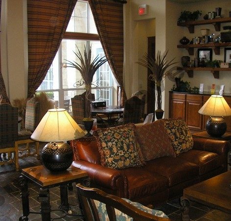 super pet-friendly apartment