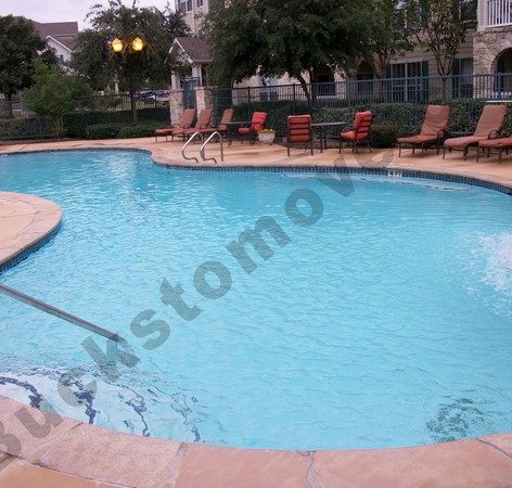 super pet-friendly apartment