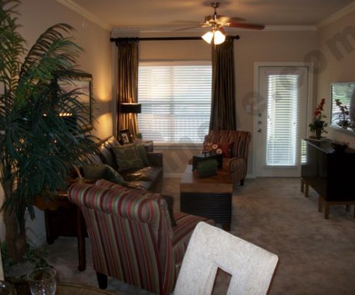 Luxury Apartment Luxury Apartment