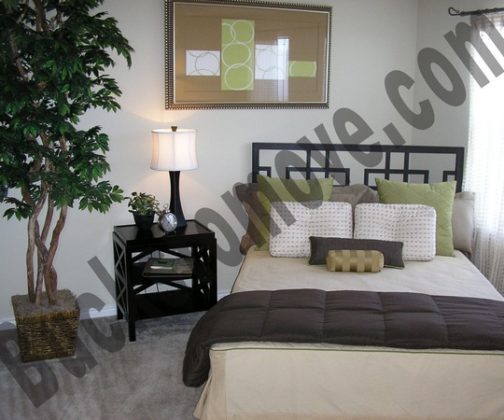 Stone oak locators Stone oak locators