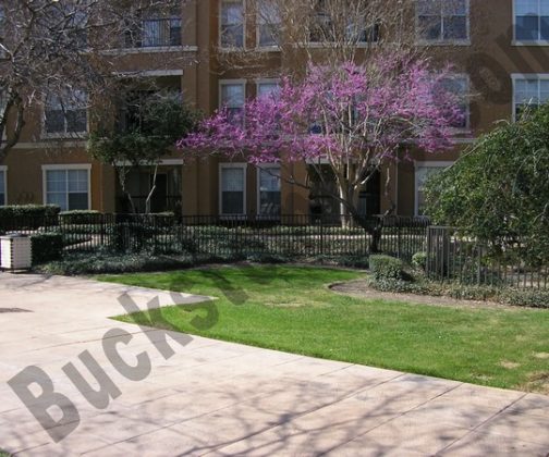 Beautiful North central Apartments Beautiful North central Apartments