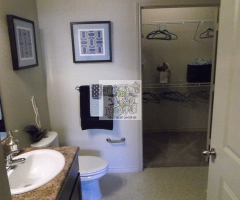 apartment search apartment search