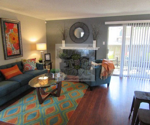 North central apartments North central apartments