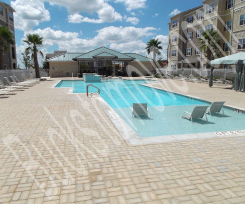 delightfully beautiful northwest apartments delightfully beautiful northwest apartments