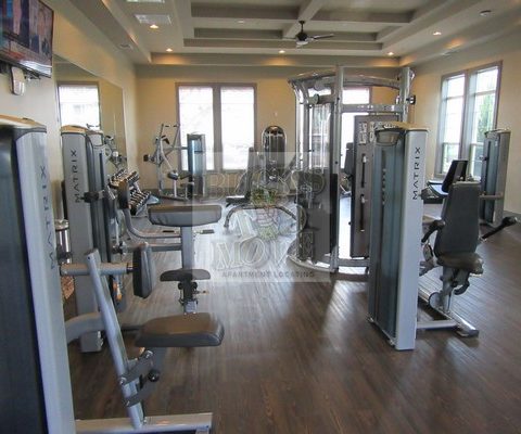 san antonio apartments stone oak san antonio apartments stone oak