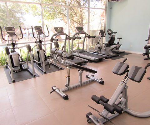 Stylishly Renovated North East Apartments Stylishly Renovated North East Apartments