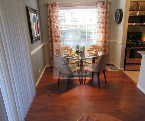 Pet friendly apartments Pet friendly apartments