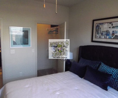 apartment search apartment search