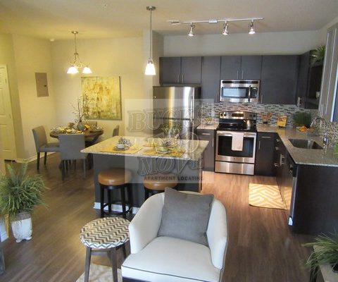 san antonio apartments stone oak san antonio apartments stone oak