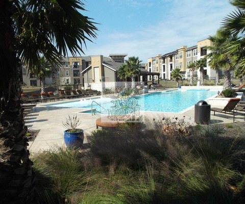 North East Luxurious Essence North East Luxurious Essence