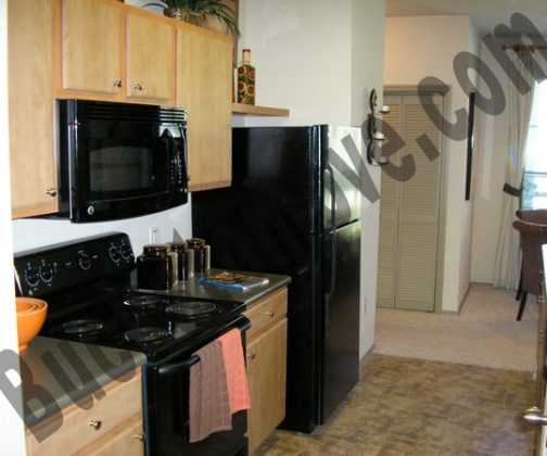 san antonio apartments san antonio apartments