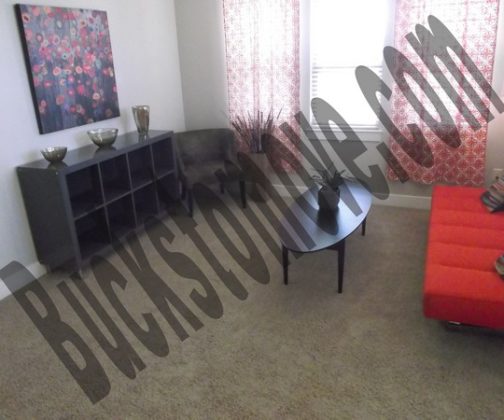 Pet Friendly Apartments in San Antonio