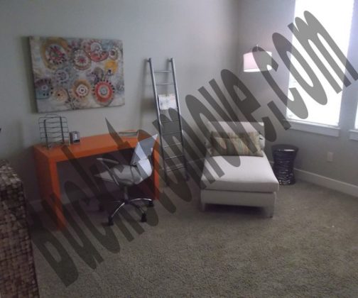 Lofts available for Rent