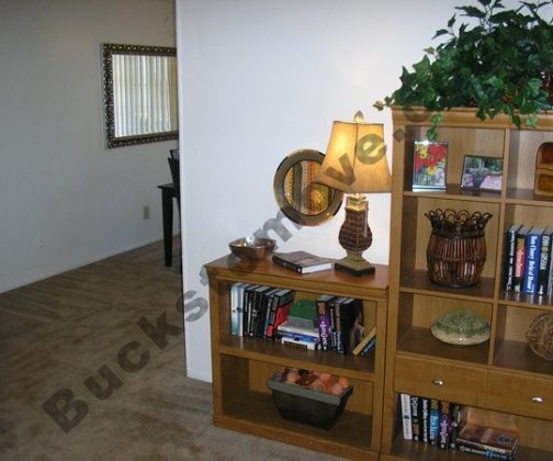 living room San Antonio aparment search