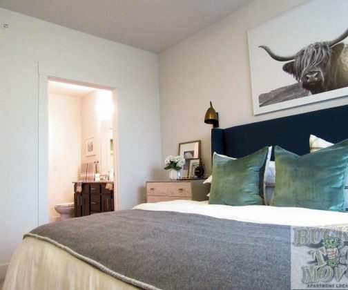 San Antonio Apartments San Antonio Apartments