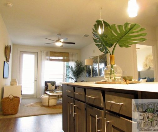 Modern Apartments Modern Apartments