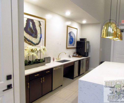 luxurious Apartments luxurious Apartments