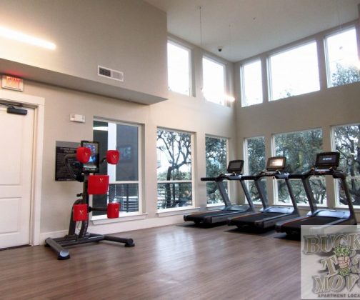 luxurious Apartments luxurious Apartments