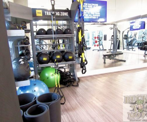 luxurious Apartments luxurious Apartments