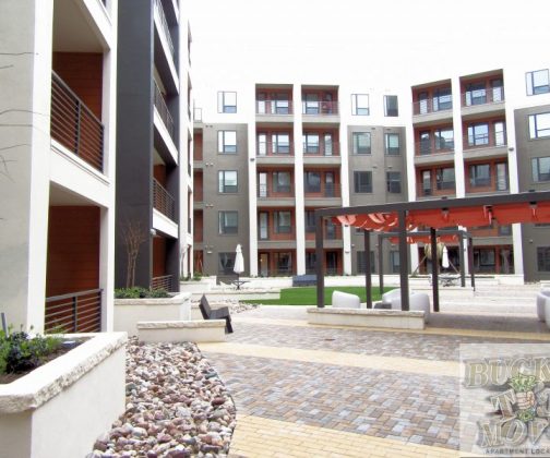 luxurious Apartments luxurious Apartments