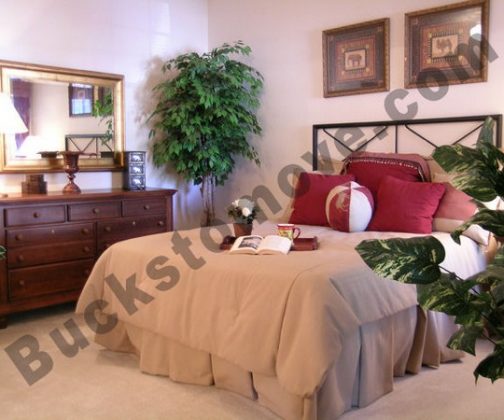 small00001 luxury apartment community