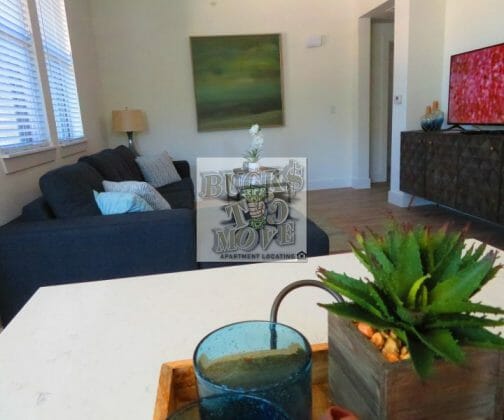 Luxury San Antonio Apartments Luxury San Antonio Apartments